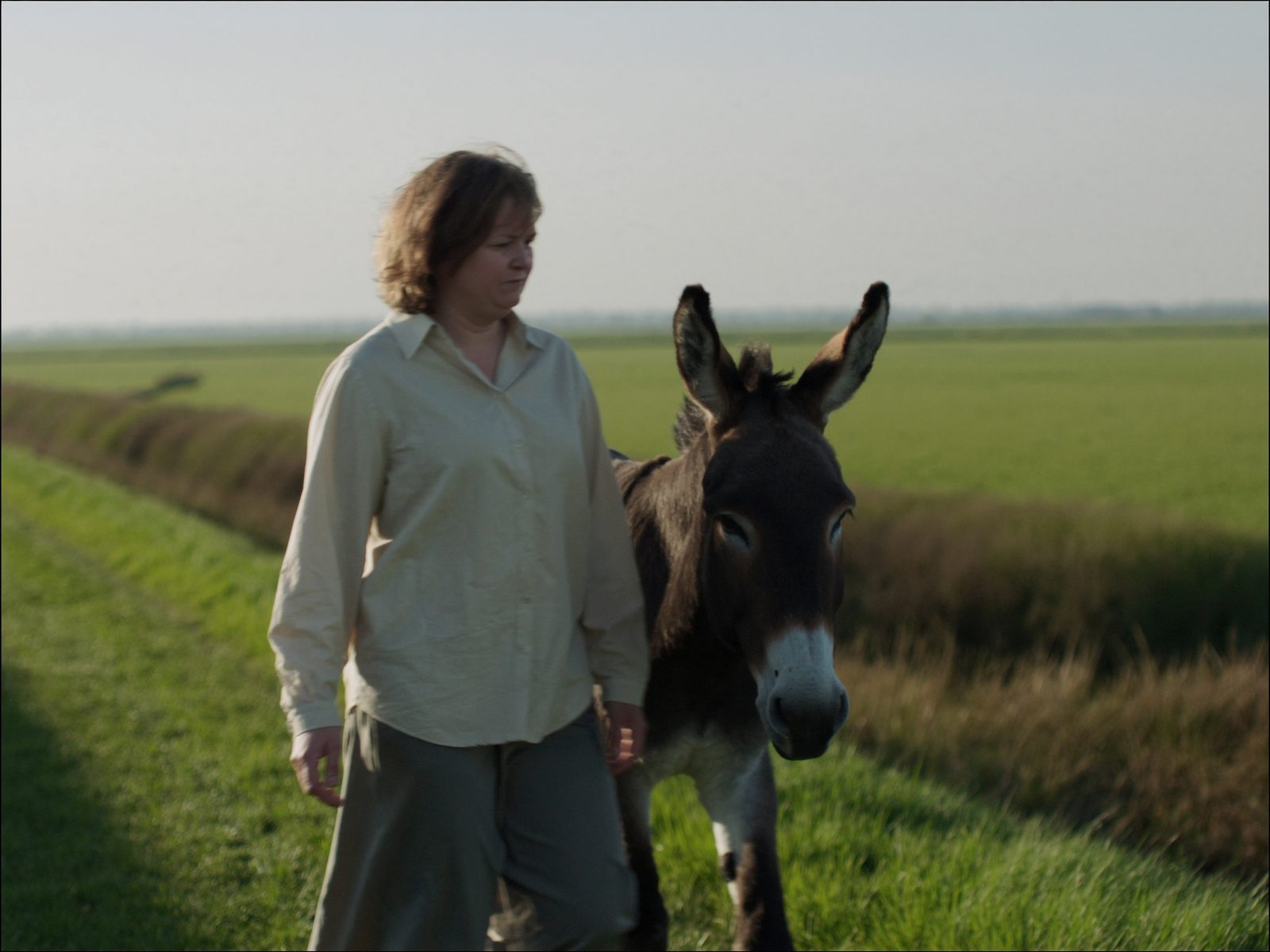 Een vrouw loopt met haar ezel over een dijk.
